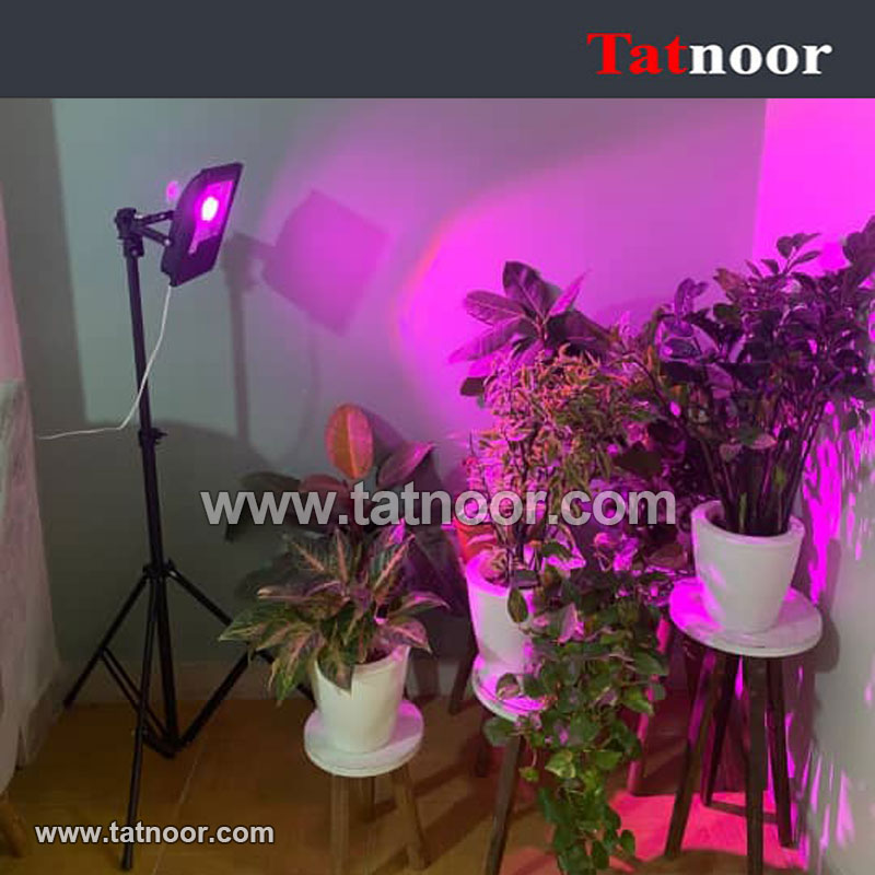 پرژکتور رشدگیاه 50 وات فول اسپکتروم